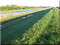 The Old Bedford River - The Ouse Washes near Welney in PE14 9RB
