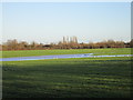 Flooded field off Priory Road in HU5 5AZ