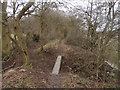 Footpath and Plank Bridge at Rushy Moor in DN6 0AL