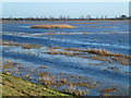 The River Delph lost in flood water - The Ouse Washes near Welney in PE14 9RB