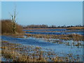 Winter flooding - The Ouse Washes near Welney in PE14 9RB