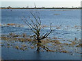 The River Delph in flood - The Ouse Washes near Welney in PE14 9RJ