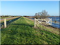 The Old Bedford Barrier Bank - The Ouse Washes near Welney in PE14 9RJ