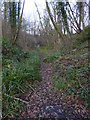 Disused railbed by the Downs Link in RH12 3DG