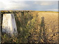 Wallside view of harvested field at Rumbleton Law Triangulation Pillar in TD10 6XS
