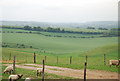 View across Wylye Down in BA12 0RB