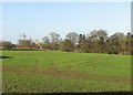 Towards West Wratting Church in West Wratting