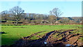 Rutted field in HR2 9PG