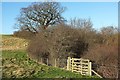Gate above the Nidd valley in HG5 8EL