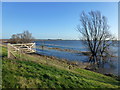 An open gate - The Ouse Washes near Welney in PE14 9RJ