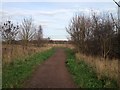 Biggleswade footpath in SG18 8QS