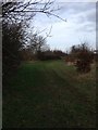 Footpath near Biggleswade in SG18 8YY