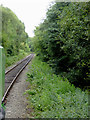 Railway line at Leekbrook, Staffordshire in ST13 5RQ