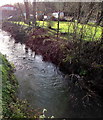 Nailsworth Stream in Woodchester in GL5 5AF