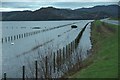 Flooded fields at Minffordd in LL49 9PP