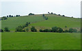 Pasture south-east of Leek, Staffordshire in Bradnop