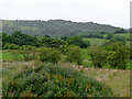 Farmland and woodland south-east of Leek, Staffordshire in Bradnop