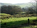 Rough pasture on the Witton Weavers' Way in BL7 0LE