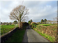 The lane from Abergafren to Minffordd in LL48 6ED