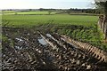 Field near Simon Knoll in Plompton
