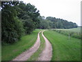 Driveway to Birchen Close Farm, Buckholt in SP5 1LT