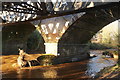 Underneath the railway bridges over the River Esk at Monktonhall in EH21 7TE