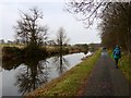 Tree reflections in the Forth and Clyde Canal in G64 4EU