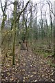 Path through Twenty Acre Shaw in BR6 7LG