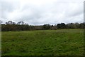 Farmland south of Luxted in BR6 7LG