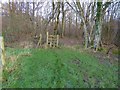 Footpath reaches stile and woodland south of Tittlesfold Farm in RH14 9BE