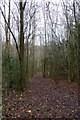 Path through woodland in BR6 7LG