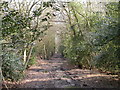 Roman Road Chilworth - April in SO16 7JX