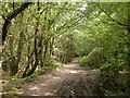 Roman Road Chilworth - September in SO16 7JX