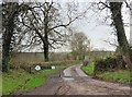 Road to Owl Hayes Farm in TA20 3QQ