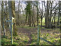 Footpath junction in woodland near The Haven in RH14 9BE