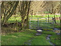 Gate on footpath east of The Haven in RH14 9BE