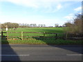 Field view from Haven Road in RH14 9BE