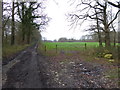 Bridleway goes west near Ingfield Manor School in RH14 9AU