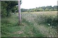 Slightly overgrown footpath in RG25 3BD