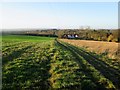 Looking  back  on  the  footpath  over  Elloughton  Wold in HU15 1HZ