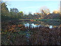 Pond on the site of the former Preston Junction in PR5 4UB