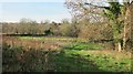 Disused farmland between Haberfield Park Farm and the Markham Brook in BS20 0QP