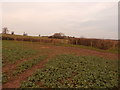 Footpath and Fields near Brizlincote Hall Farm in DE11 0TF