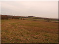 Farmland near Brizlincote Hall Farm in DE11 0TF