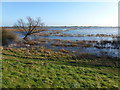 Flood water from the upper Ouse - The Ouse Washes near Welney in PE14 9RB
