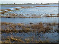 The River Delph in the flood water - The Ouse Washes near Welney in PE14 9RB