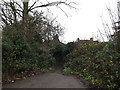 Path to Rothamsted Avenue in AL5 2QX
