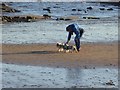 Dog walker on Whitley Sands in NE26 1RS