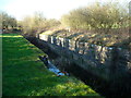 Boxwell Spring Lock, Thames and Severn Canal in GL7 5UB