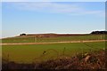 Farmland below Bangly Hill in EH41 3SW
